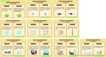 企業(yè)管理圖片信息咨詢服務(wù) 可視化戰(zhàn)略助力企業(yè)高效決策